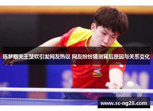 陈梦取关王楚钦引发网友热议 网友纷纷猜测背后原因与关系变化 陈梦取关王楚钦引发网友热议 网友纷纷猜测背后原因与关系变化