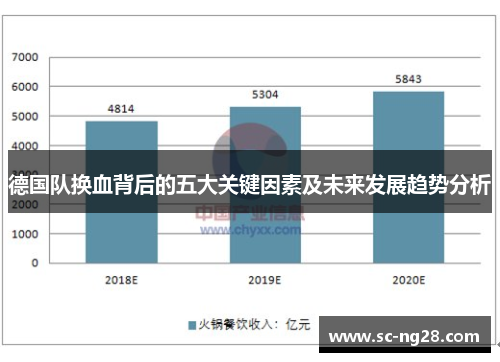 德国队换血背后的五大关键因素及未来发展趋势分析 德国队换血背后的五大关键因素及未来发展趋势分析