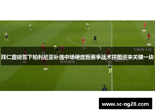 拜仁重磅签下帕利尼亚补强中场硬度新赛季战术拼图迎来关键一块